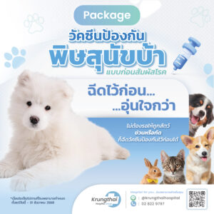 แพ็กเกจวัคซีนป้องกันพิษสุนัขบ้า